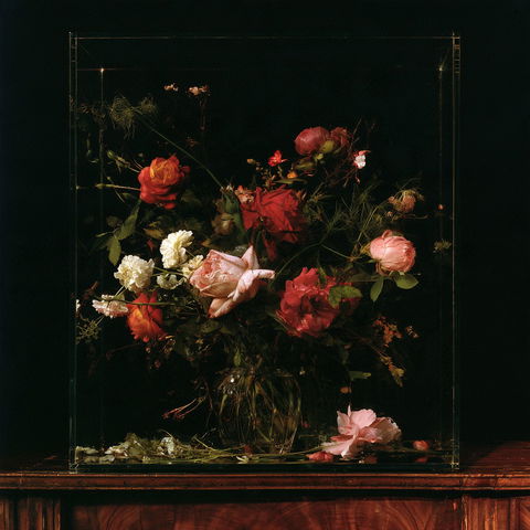 Mat Collishaw style (Various), Midjourney V8.2