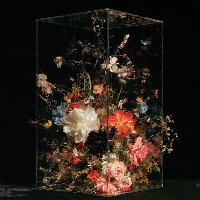 Mat Collishaw style, Midjourney V8.2, render 4 of 4