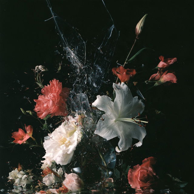 Mat Collishaw style, Midjourney V8.2, render 3 of 4