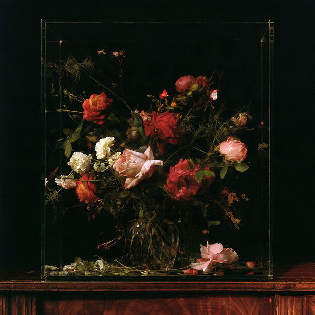 Mat Collishaw style, Midjourney V8.2, render 1 of 4