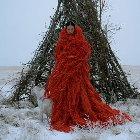 Meryl McMaster style (Photographers), Midjourney V8.2