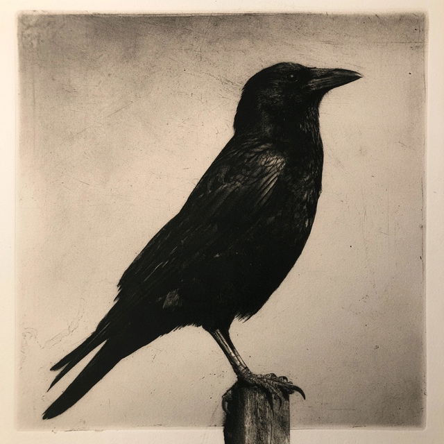 Mezzotint print style, Midjourney V8.2, render 2 of 4