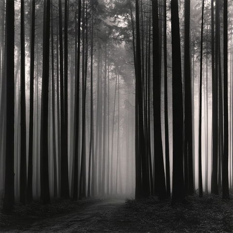 Michael Kenna style (Photographers), Midjourney V8.2