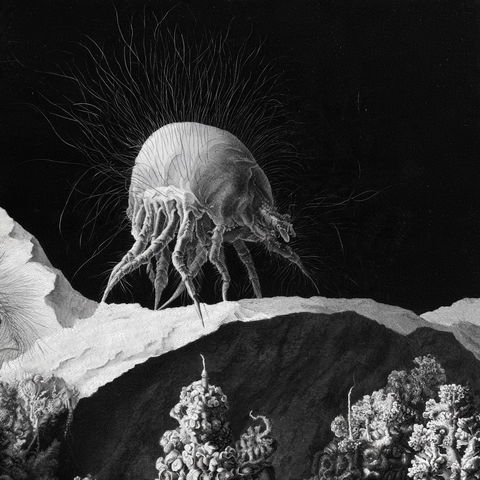 Micrographia style (Techniques), Midjourney V8.2