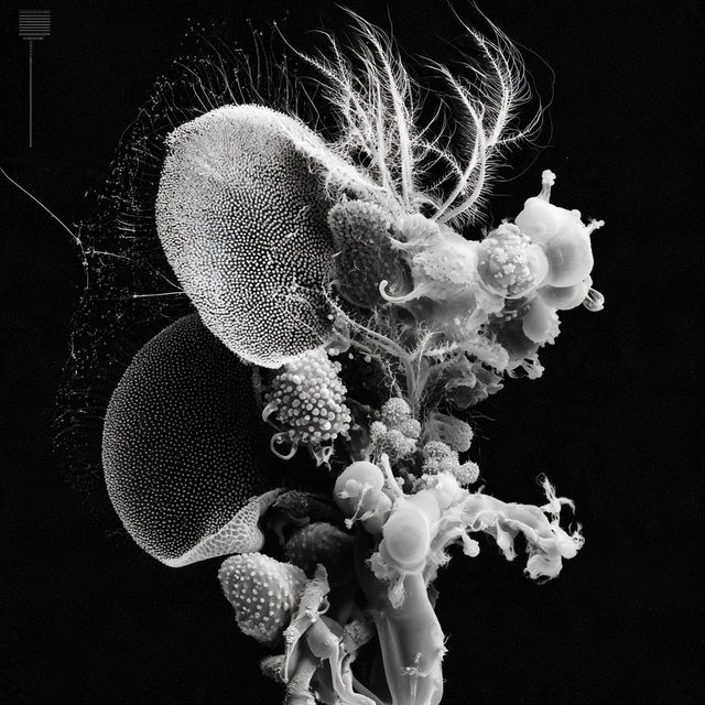 Micrographia style, Midjourney V8.2, render 4 of 4