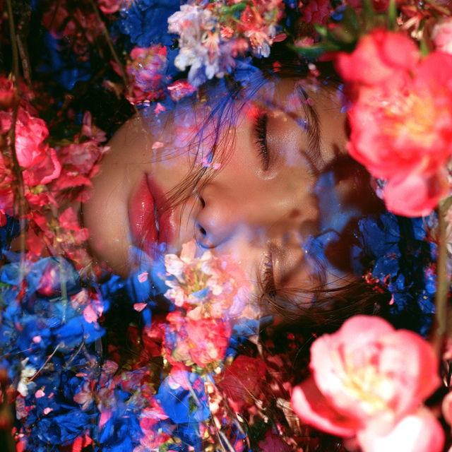 Mika Ninagawa style, Midjourney V8.2, render 3 of 4