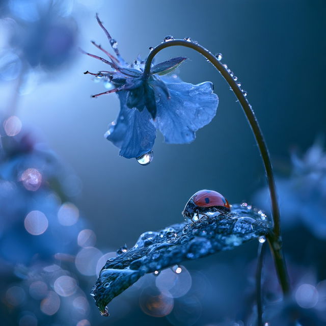 Miki Asai style, Midjourney V8.2, render 1 of 4