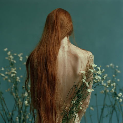 Monia Merlo style (Photographers), Midjourney V8.2