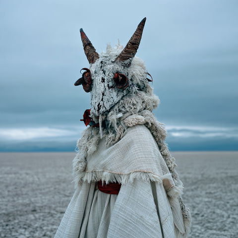 Mothmeister style (Various), Midjourney V8.2