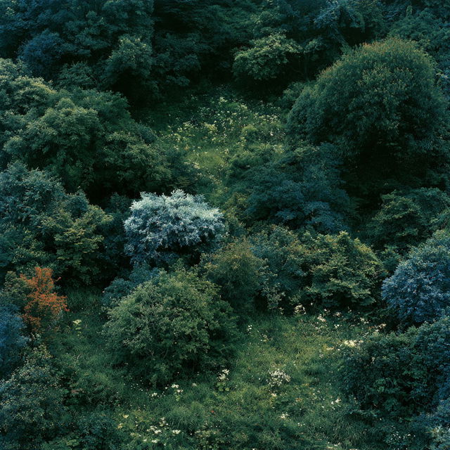 Naoya Hatakeyama style, Midjourney V8.2, render 4 of 4