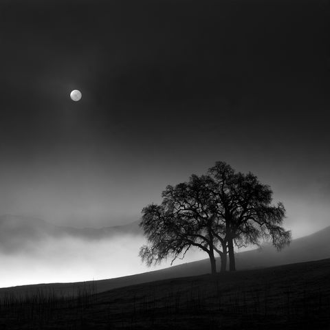 Nathan Wirth style (Photographers), Midjourney V8.2