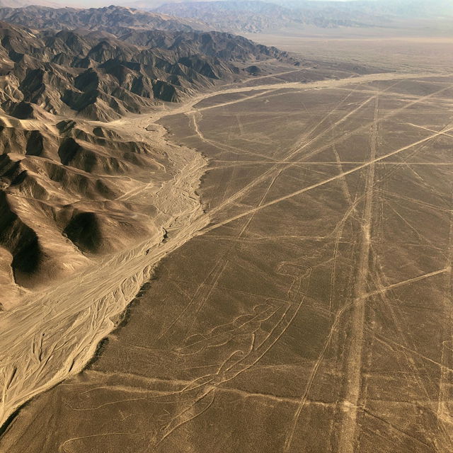 Nazca lines style, Midjourney V8.2, render 4 of 4