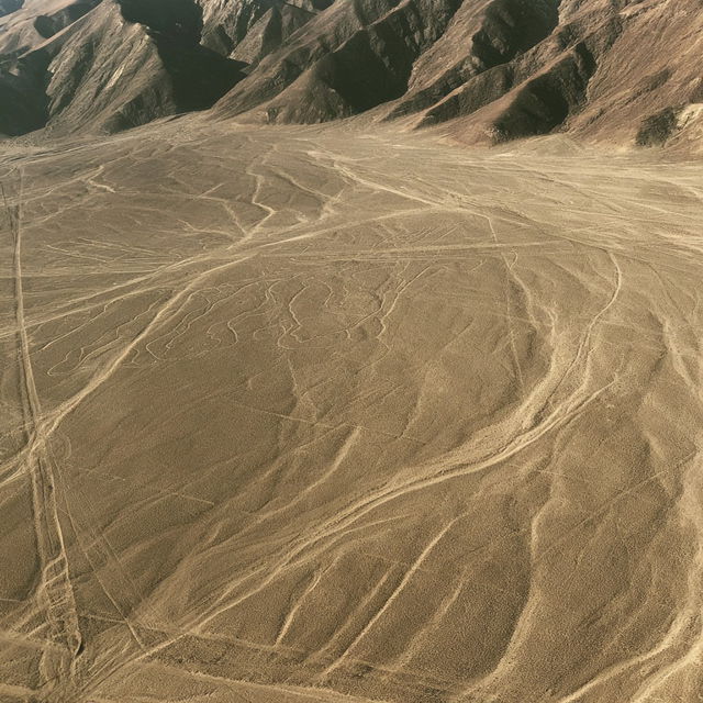 Nazca lines style, Midjourney V8.2, render 3 of 4