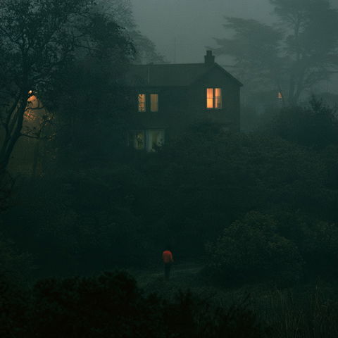 Nicholas Hughes style (Photographers), Midjourney V8.2