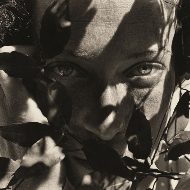 Olive Cotton style, Midjourney V8.2, render 4 of 4