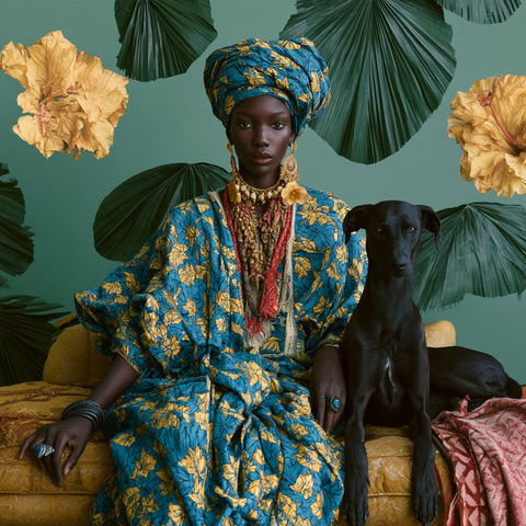 Omar Victor Diop style (Photographers), Midjourney V8.2