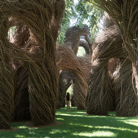 Patrick Dougherty style (Sculptors), Midjourney V8.2