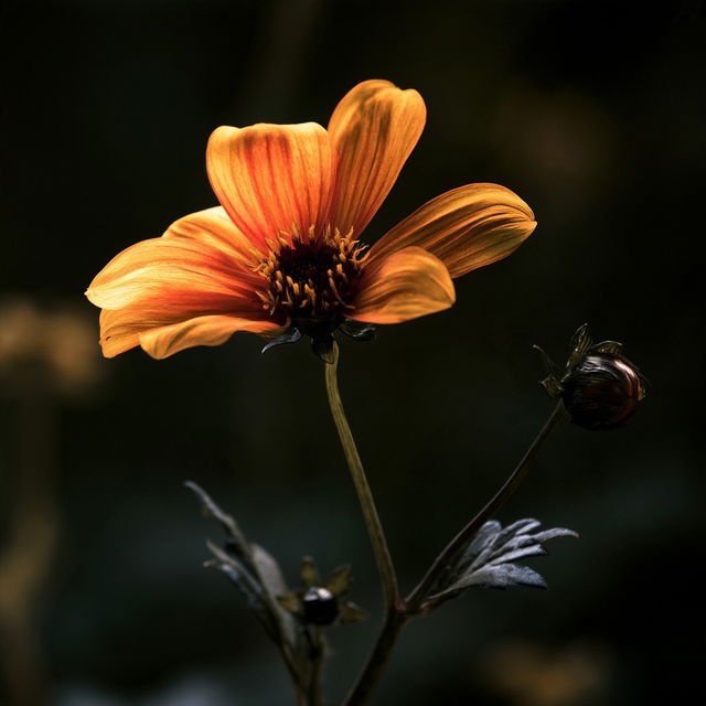 Paul Barson style, Midjourney V8.2, render 4 of 4
