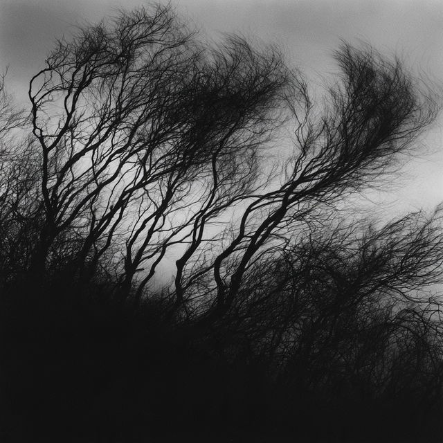 Paul Caponigro style, Midjourney V8.2, render 2 of 4