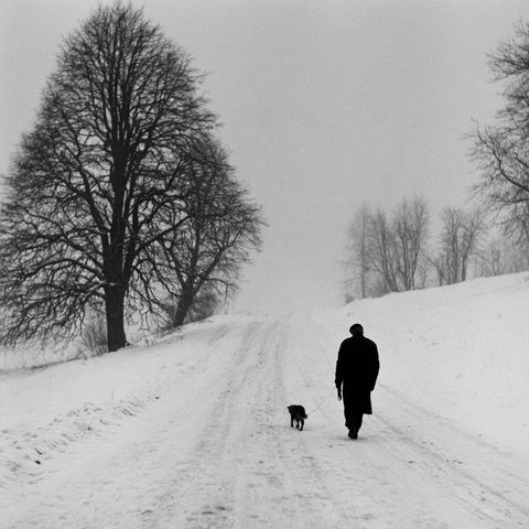Pentti Sammallahti style (Photographers), Midjourney V8.2