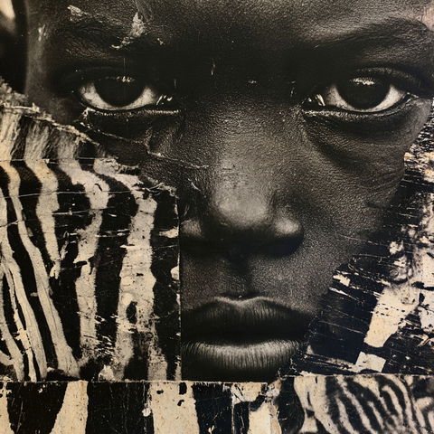 Peter Beard style (Various), Midjourney V8.2