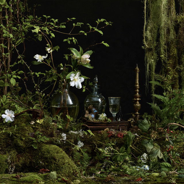 Peter Lippmann style, Midjourney V8.2, render 4 of 4