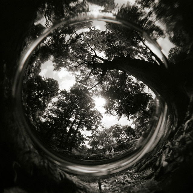 Pinhole lens style, Midjourney V8.2, render 2 of 4