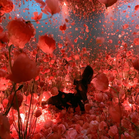 Pipilotti Rist style (Various), Midjourney V8.2