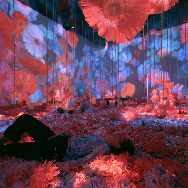 Pipilotti Rist style, Midjourney V8.2, render 2 of 4