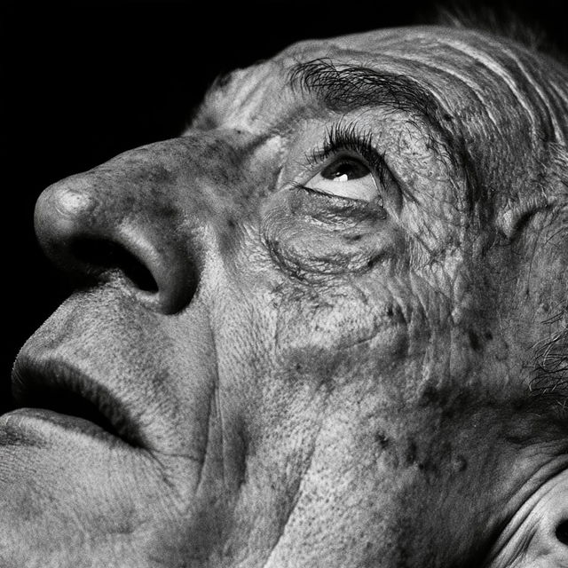 Platon style, Midjourney V8.2, render 2 of 4