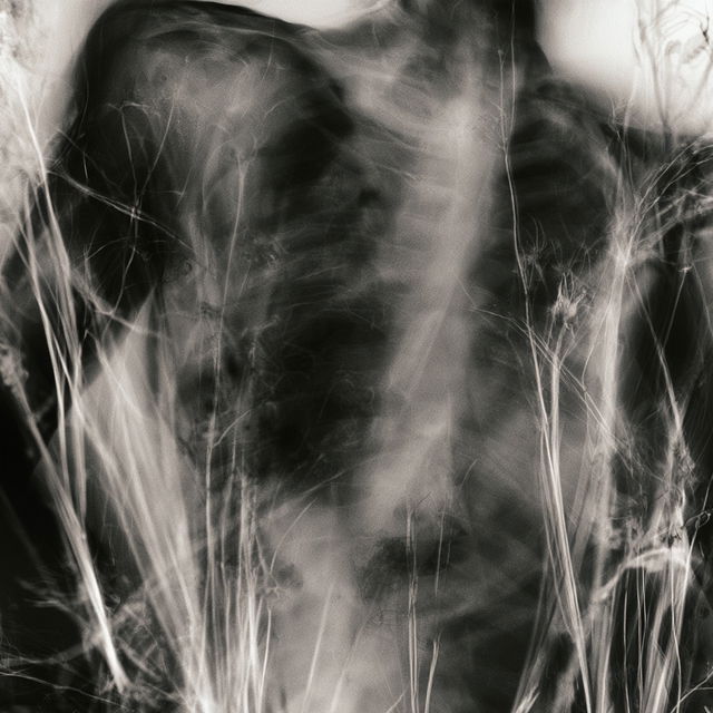 Radiographic image style, Midjourney V8.2, render 2 of 4