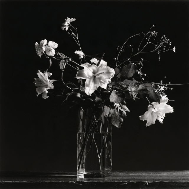 Robert Mapplethorpe style, Midjourney V8.2, render 4 of 4