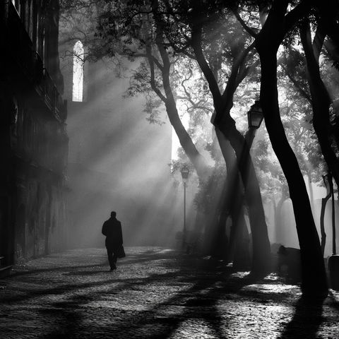 Rui Palha style (Photographers), Midjourney V8.2