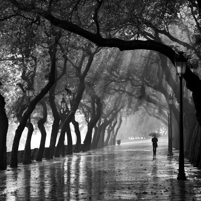 Rui Palha style, Midjourney V8.2, render 3 of 4
