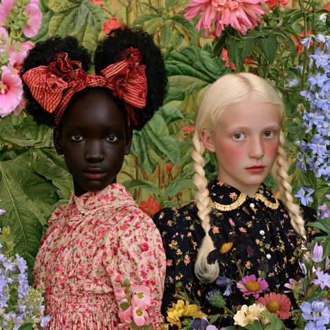 Ruud van Empel style (Photographers), Midjourney V8.2