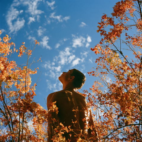 Ryan McGinley style (Photographers), Midjourney V8.2