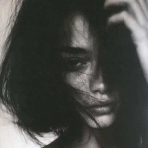 Sanne Sannes style (Photographers), Midjourney V8.2
