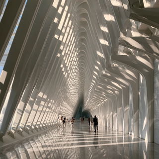 Santiago Calatrava style, Midjourney V8.2, render 1 of 4