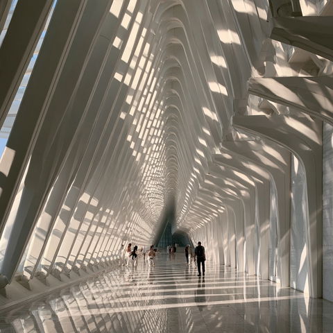 Santiago Calatrava style (Architects), Midjourney V8.2