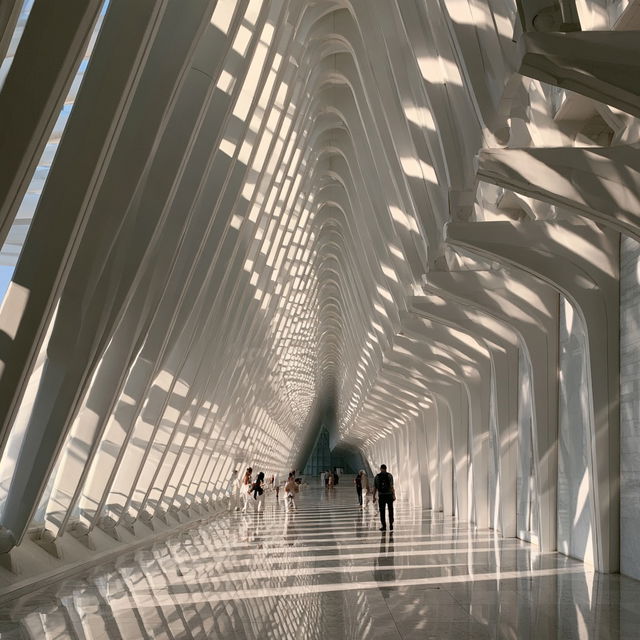 Santiago Calatrava style, Midjourney V8.2, render 1 of 4