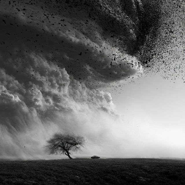 Sherry Akrami style, Midjourney V8.2, render 4 of 4