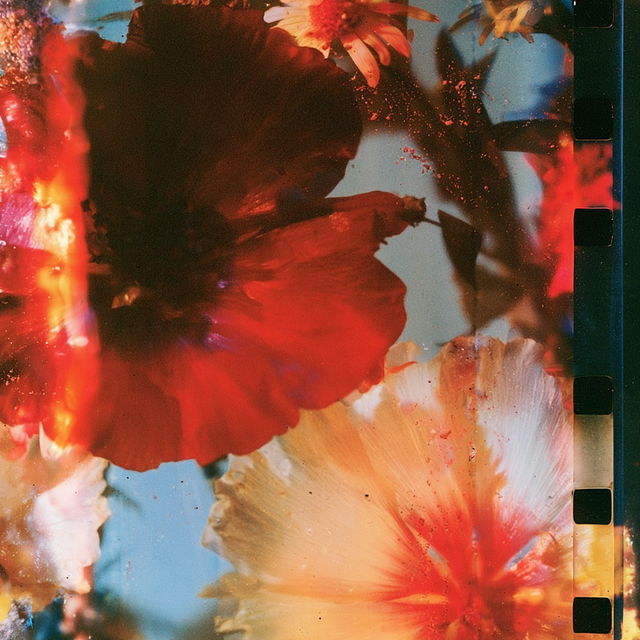 Stan Brakhage style, Midjourney V8.2, render 2 of 4