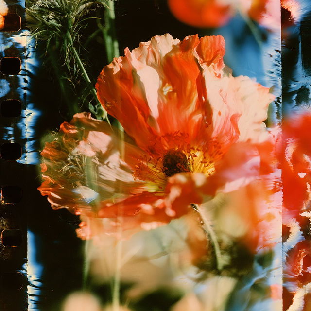 Stan Brakhage style, Midjourney V8.2, render 4 of 4