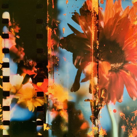 Stan Brakhage style (Filmmakers), Midjourney V8.2