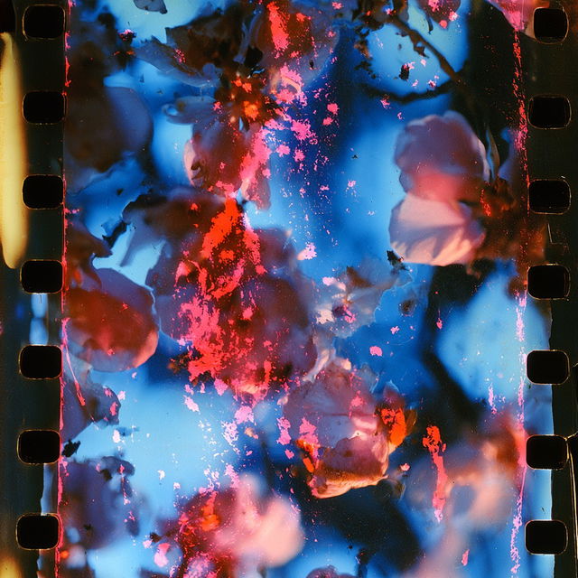 Stan Brakhage style, Midjourney V8.2, render 3 of 4