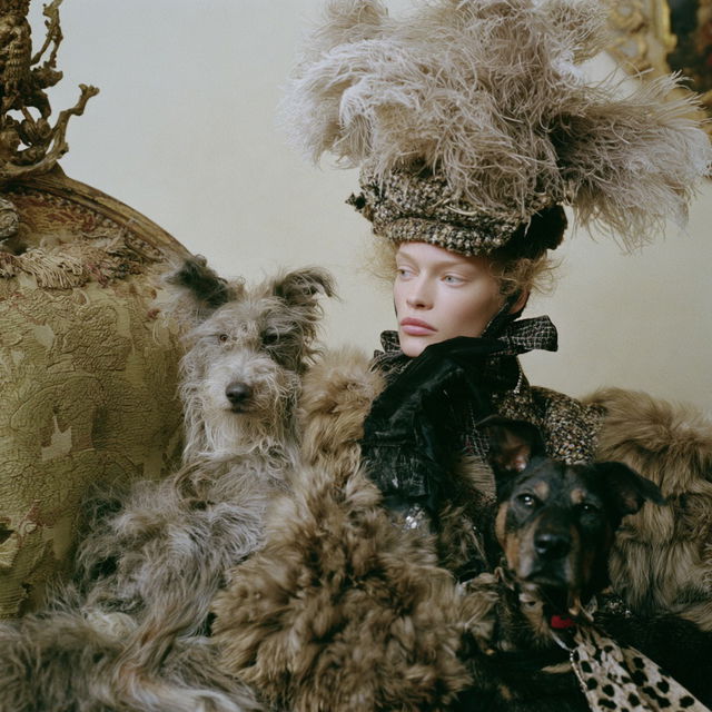 Steven Meisel style, Midjourney V8.2, render 3 of 4