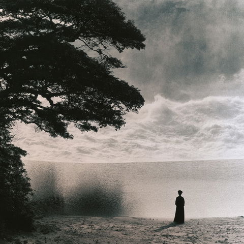 Takashi Homma style (Photographers), Midjourney V8.2