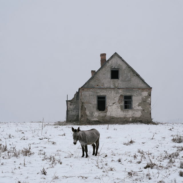Tamas Dezso style, Midjourney V8.2, render 3 of 4