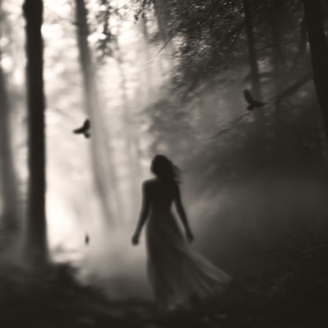 Tami Bone style (Photographers), Midjourney V8.2