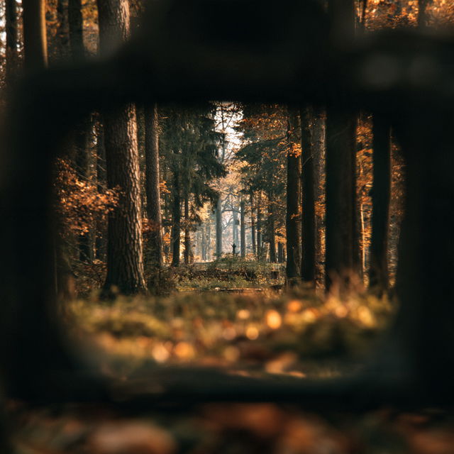 Through-the-Viewfinder photography style, Midjourney V8.2, render 4 of 4